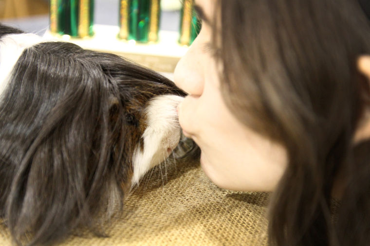 Mid-Tex RBA Rabbit Show